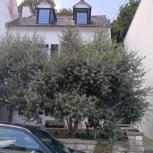 Séjour